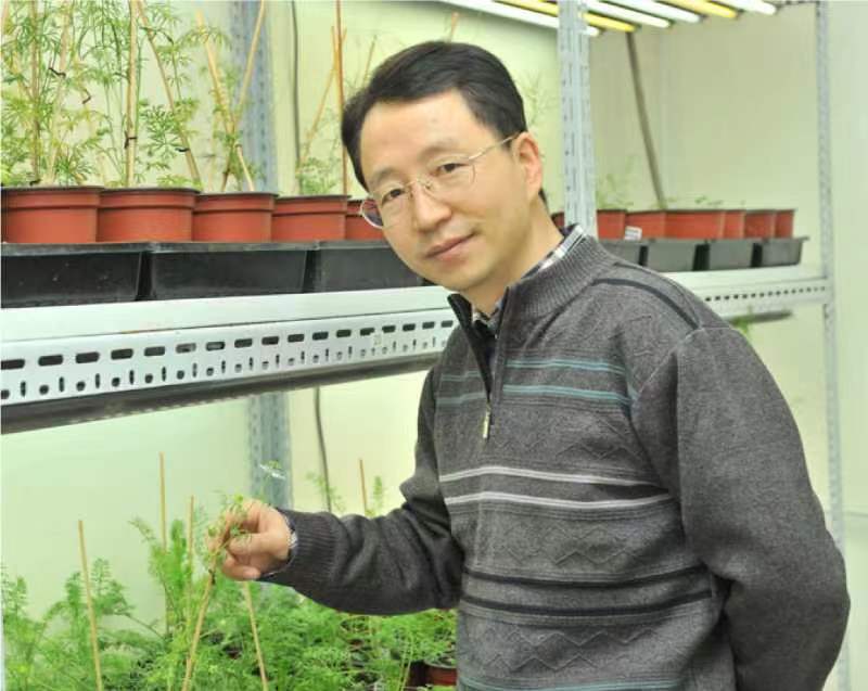 爱体育·（中国）手机网页版创新论坛第一千二百六十八讲暨120周年校庆年系列活动：复杂花瓣的发育与进化